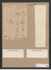 Frustulia rhomboides (Ehr.) De-Toni (de-Toni-Nr.: Genus 19, Species 1159) Zeichnungen Sammlung Grunow Nr. 2257 (NHMW-BOT-W0369362)